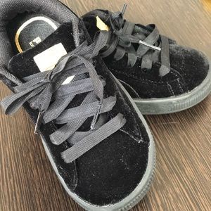 The Pride of A PUMA!